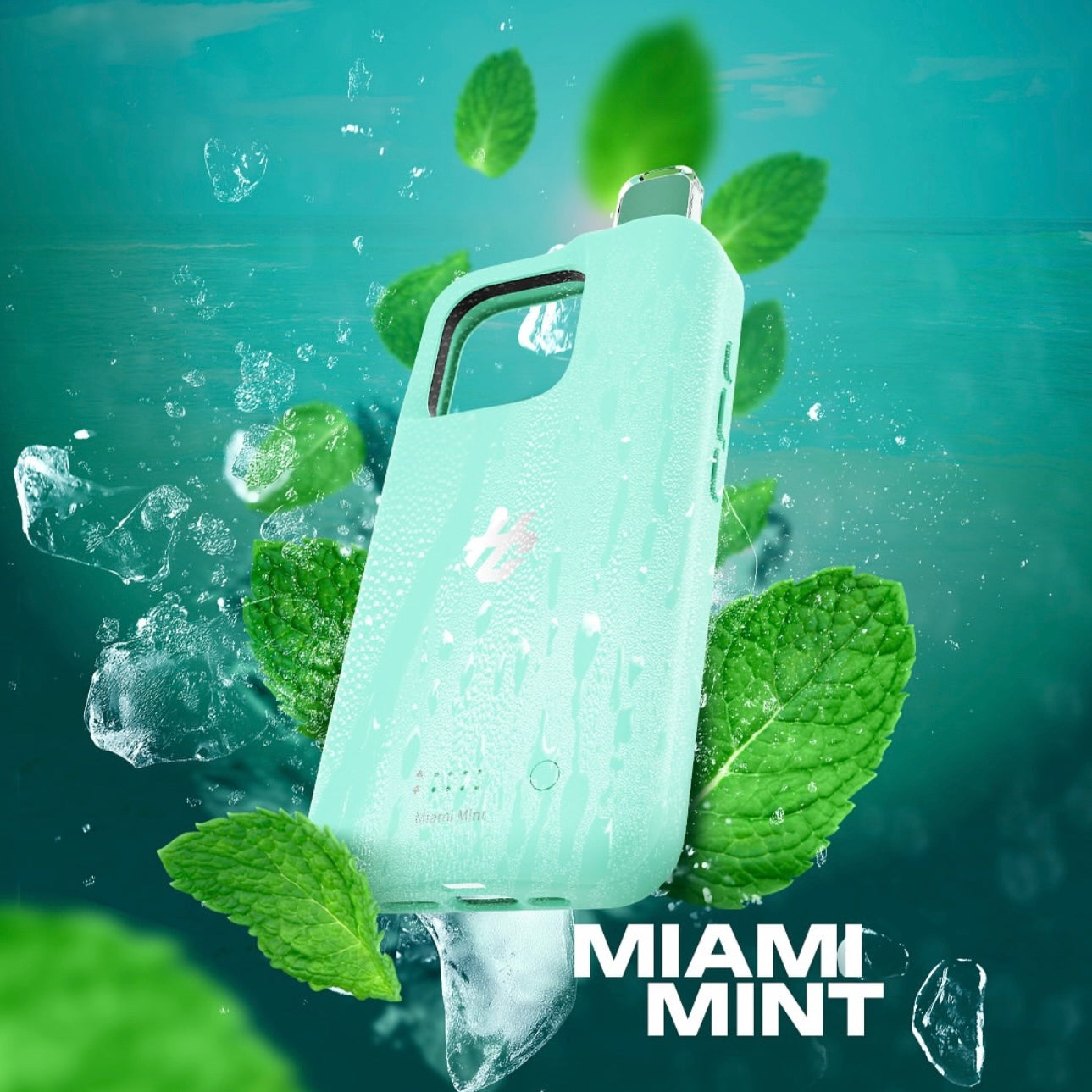 MIAMI MINT
